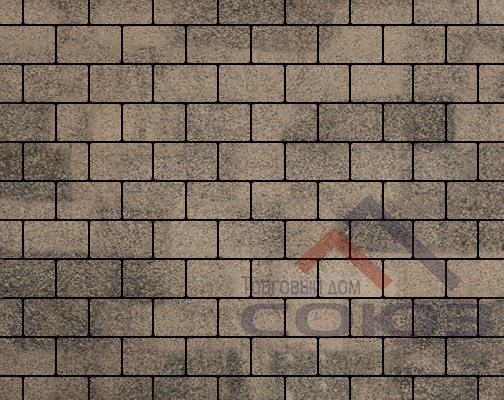 Брусчатка 200×100 песочный с черным-гранит-градиент Выбор Брусчатка 200×100 песочный с черным-гранит-градиент Выбор