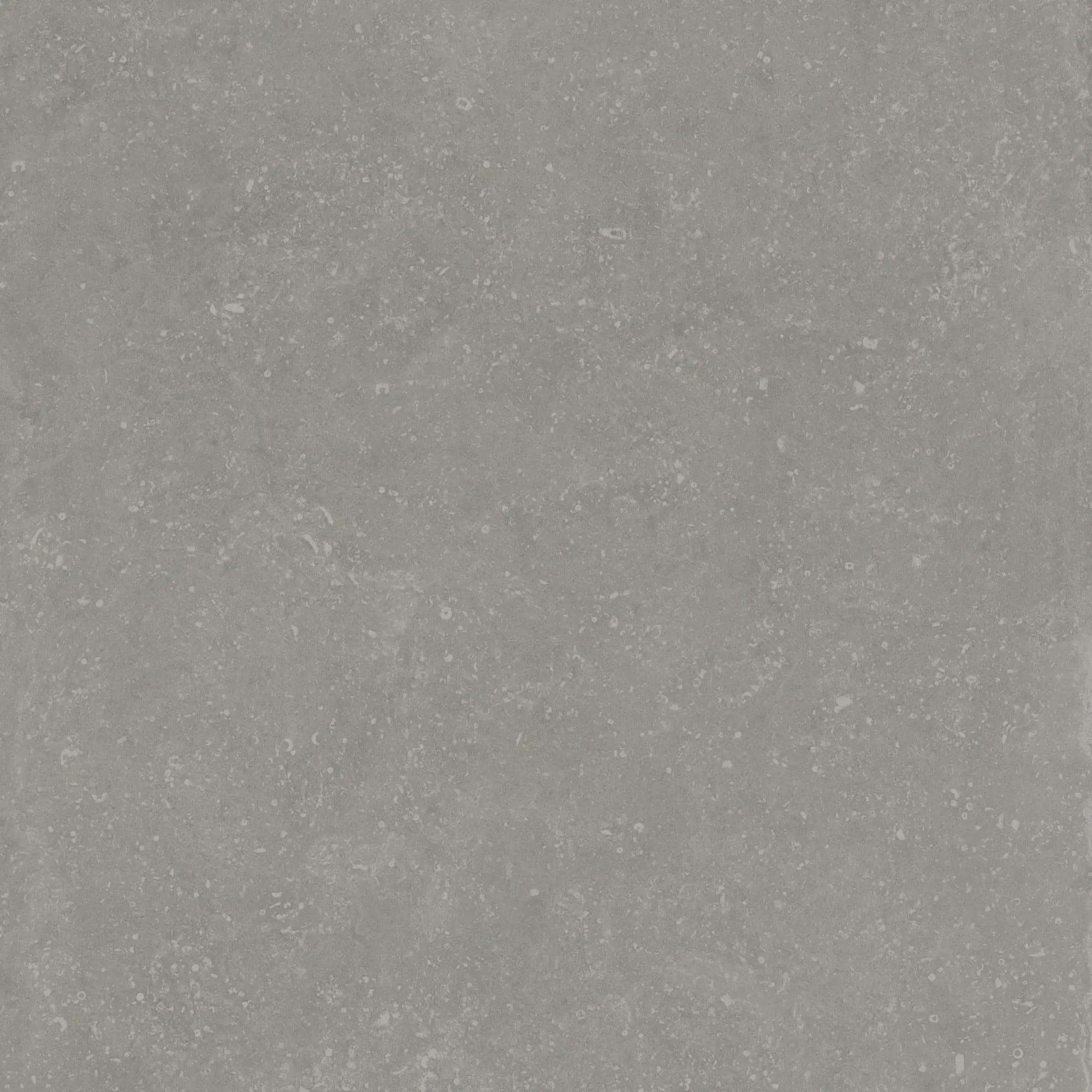 08l57hc222oerjt5c7db9u8nges7gcaj.webp 08l57hc222oerjt5c7db9u8nges7gcaj.webp