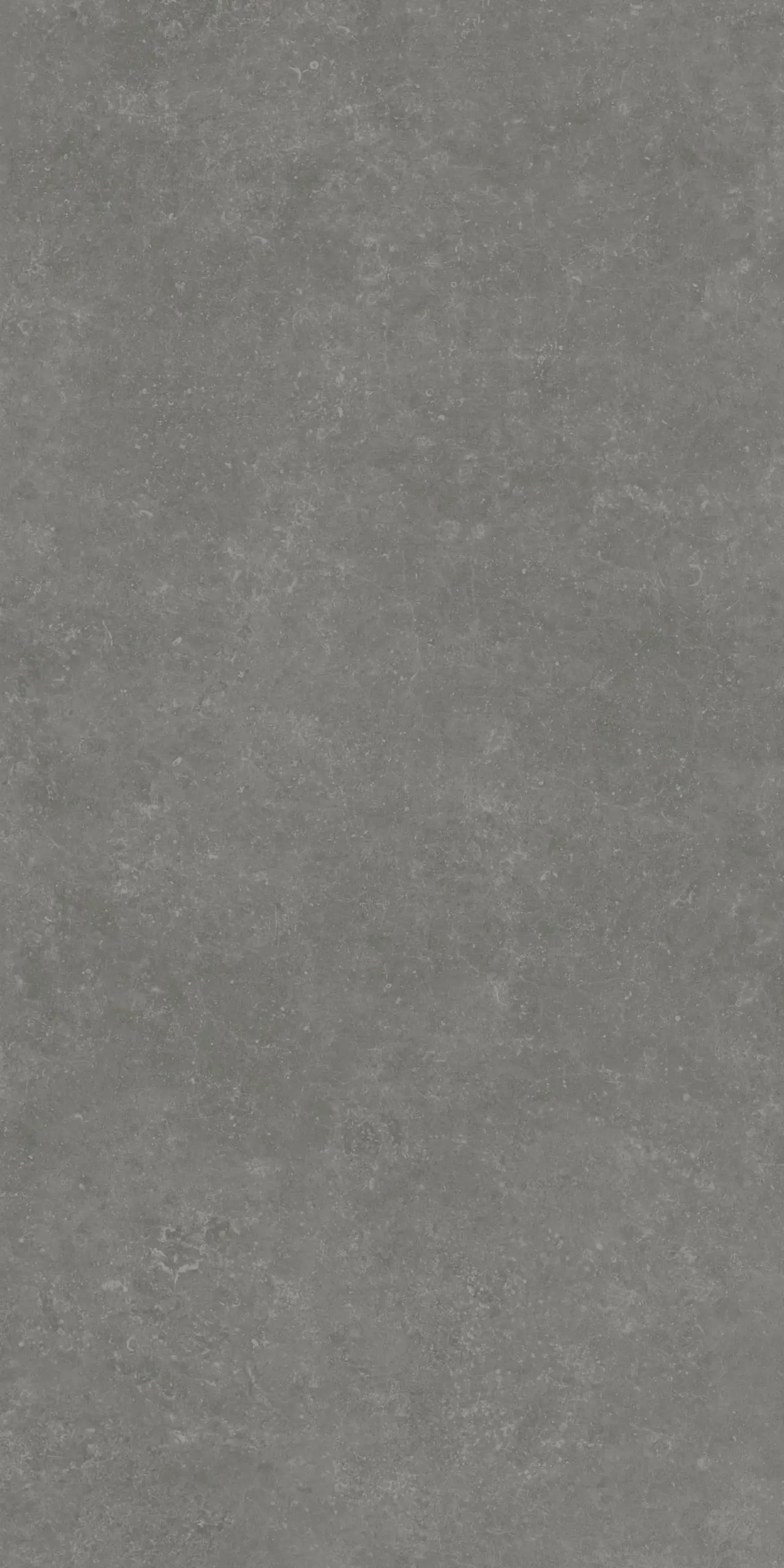 e7xh5tc13g6ud3gbngj66htcd66hh59b.webp