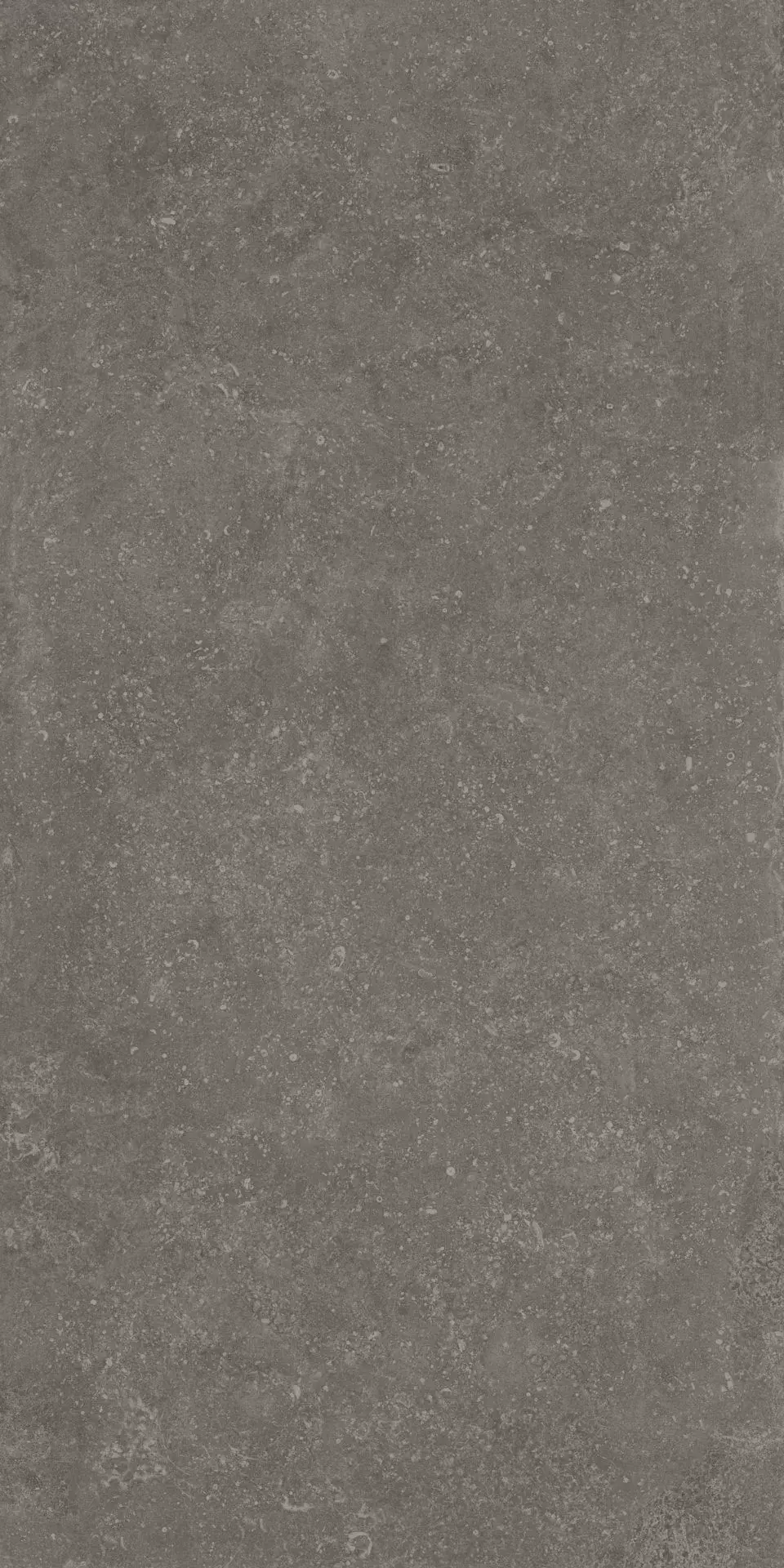 fj3f7zgsbi9toq8ka41z4wei2vy1ycz8.webp fj3f7zgsbi9toq8ka41z4wei2vy1ycz8.webp