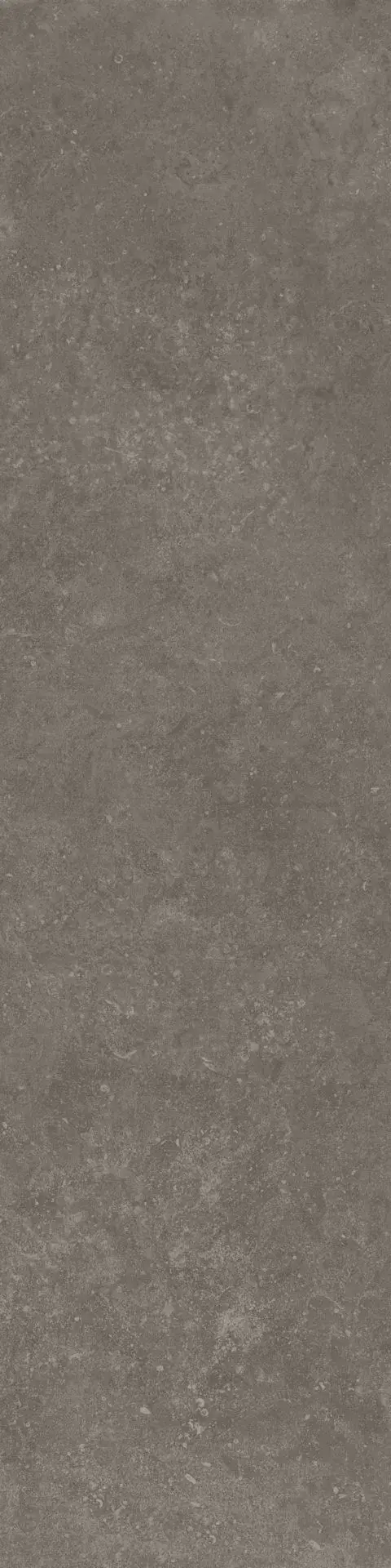 fz2v70a7byru6blo728i183cfjf04tnc.webp fz2v70a7byru6blo728i183cfjf04tnc.webp