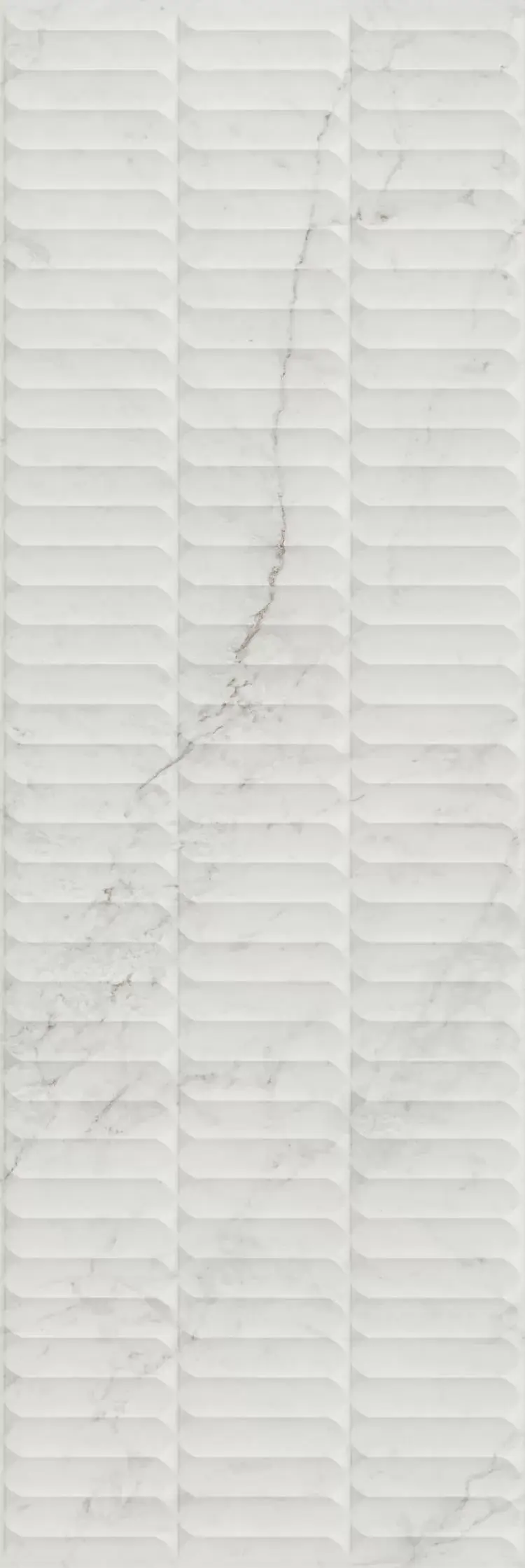 ao891v6t2q72ae49p2lh25nayx2ecena.webp ao891v6t2q72ae49p2lh25nayx2ecena.webp