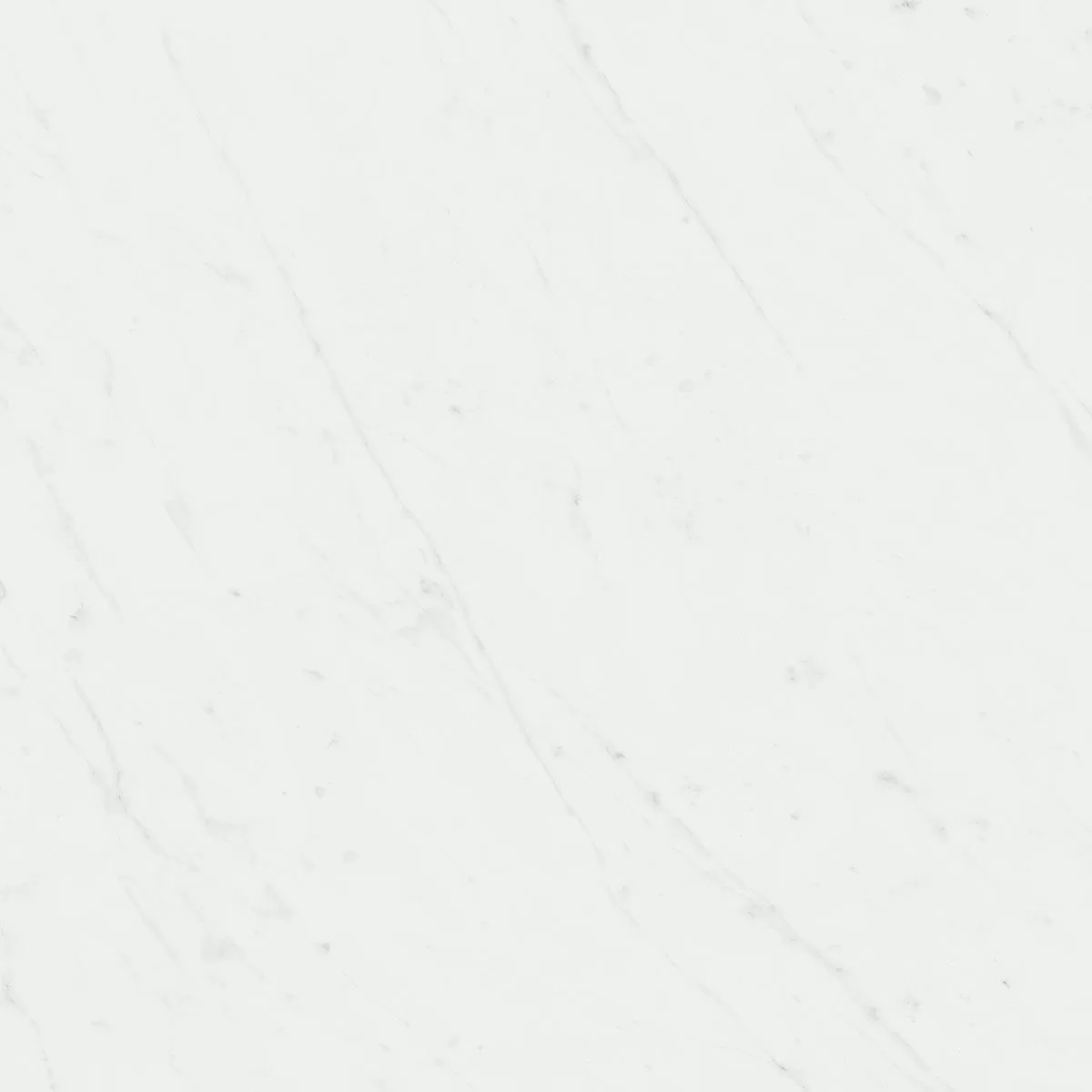 l77al6fimi124xbx7c3susra1xsa0wba.webp l77al6fimi124xbx7c3susra1xsa0wba.webp