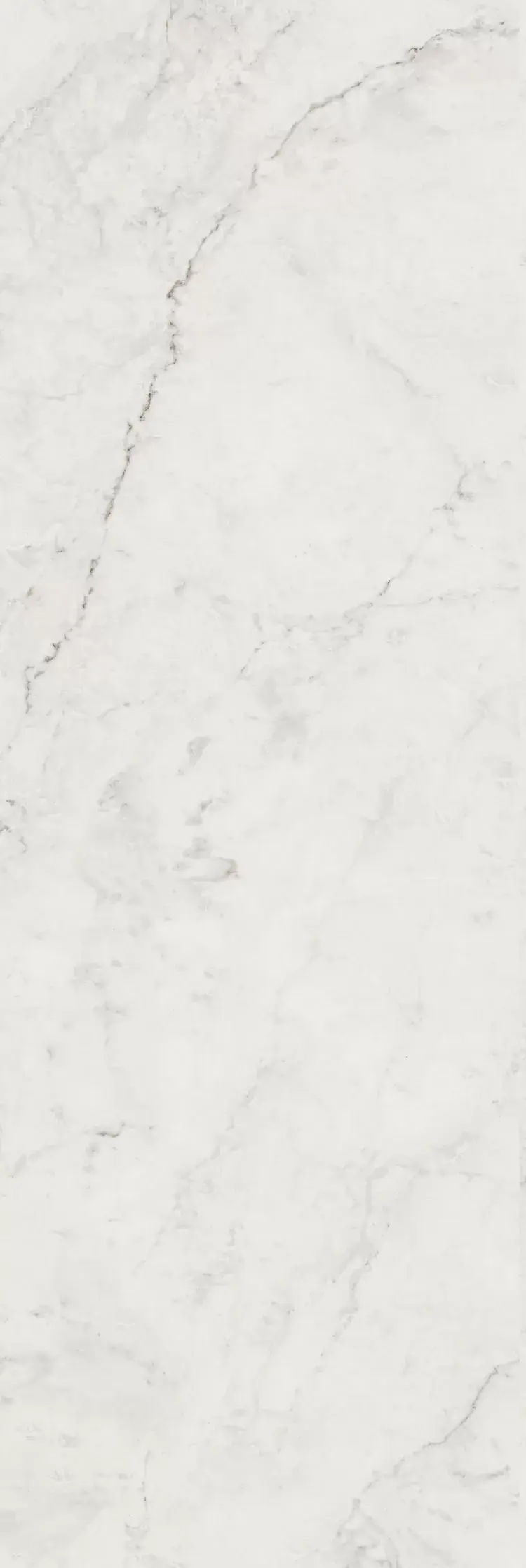 mvu2lf1sme0mjaonohejne2vjq2nvble.webp mvu2lf1sme0mjaonohejne2vjq2nvble.webp