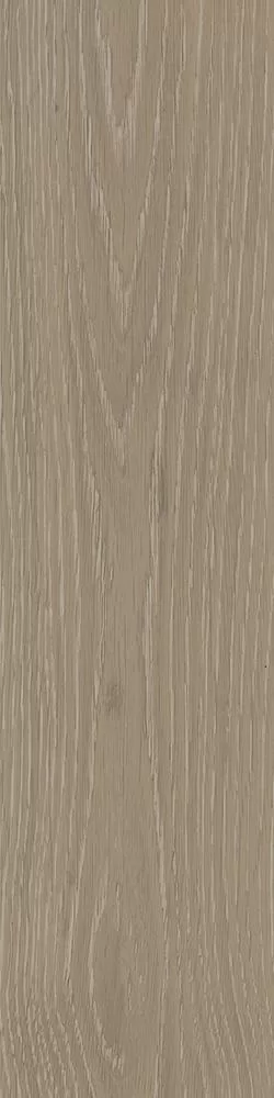 sccoymwdwxur3hzbho9ujuufs8884c3m.webp sccoymwdwxur3hzbho9ujuufs8884c3m.webp