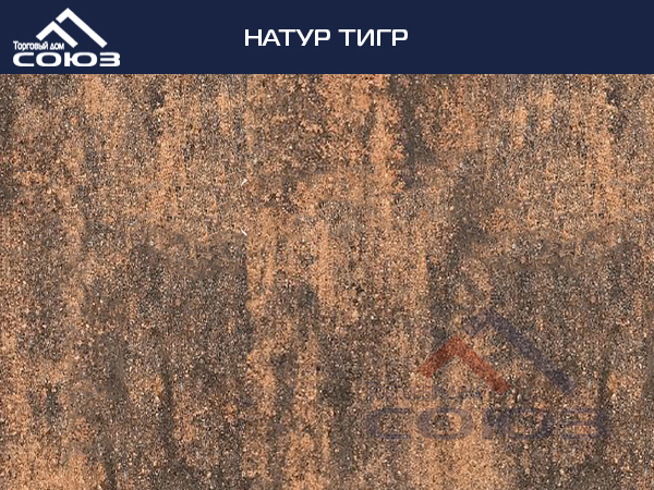 НАТУР ТИГР ГОТИКА