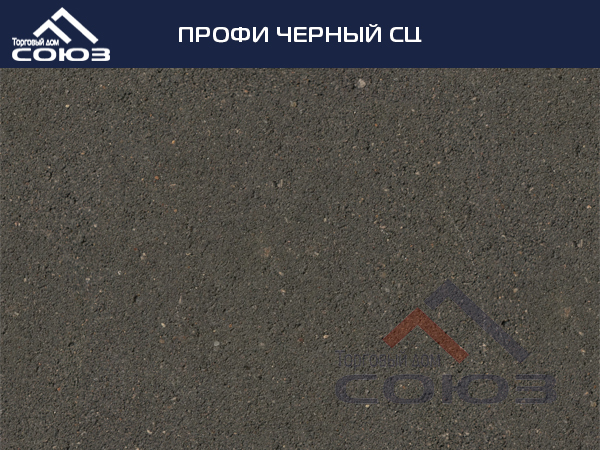 ПРОФИ ЧЕРНЫЙ СЦ ГОТИКА