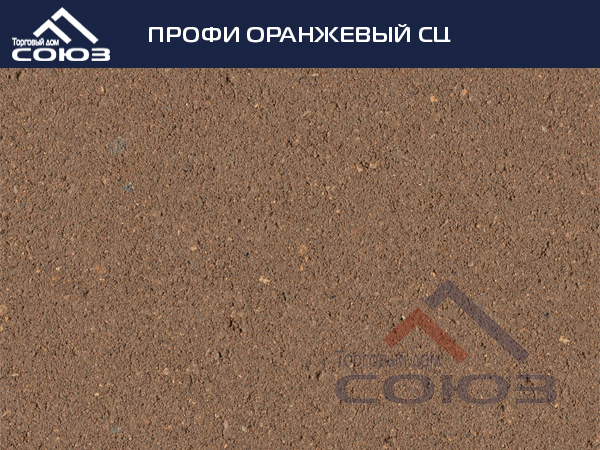 ПРОФИ ОРАНЖЕВЫЙ СЦ ГОТИКА