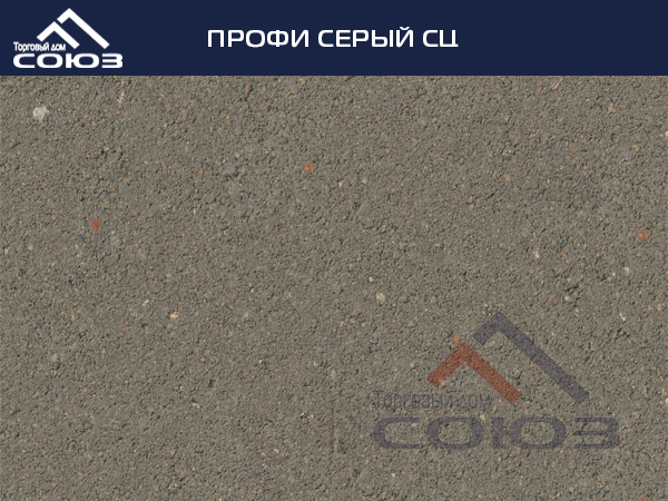 ПРОФИ СЕРЫЙ СЦ ГОТИКА