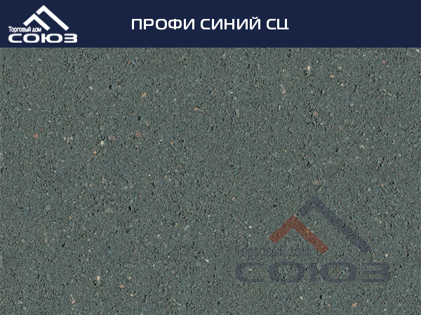 ПРОФИ СИНИЙ СЦ ГОТИКА