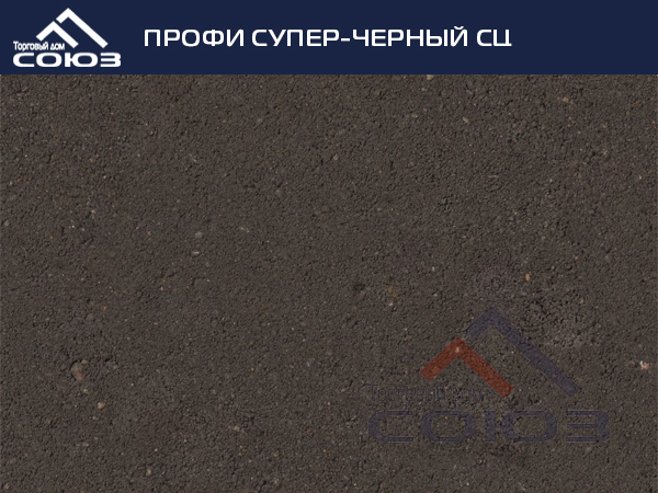 ПРОФИ СУПЕР-ЧЕРНЫЙ СЦ ГОТИКА