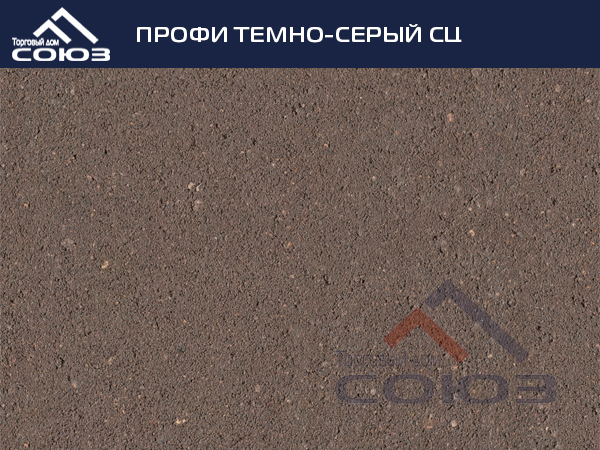 ПРОФИ ТЕМНО-СЕРЫЙ СЦ ГОТИКА