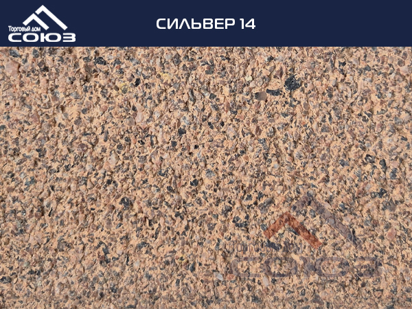 СИЛЬВЕР 14 ГОТИКА